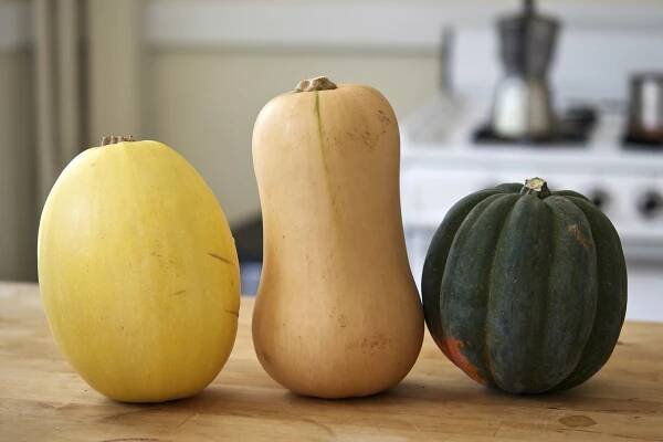 Vegan | THE CLASSICAL KITCHEN