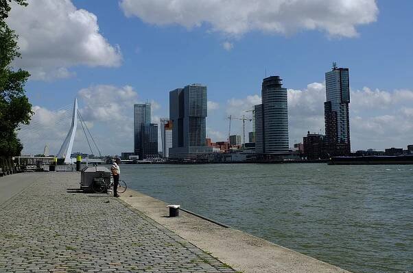 Rotterdam - Wikipedia