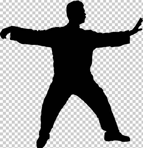 Tai Chi Qi Guang Ping Yang T\'ai Chi Ch\'uan Martial Arts.