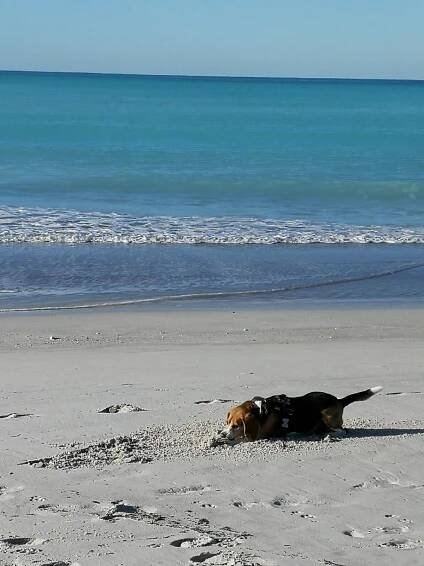 Spiagge Bianche (White Beaches) - Atlas Obscura