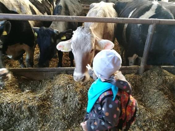 Farma Diviš Chrášťovice Koťata + Šmoulata | MŠ Ctyřlístek