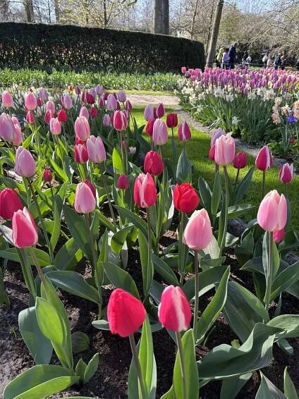 Keukenhof on 6 April 2025