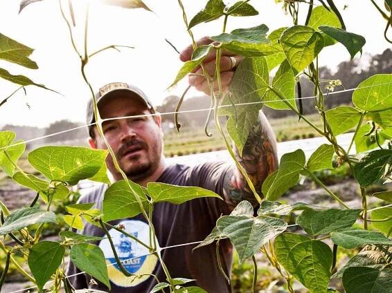 Sean Brock's Favorite Cookbooks