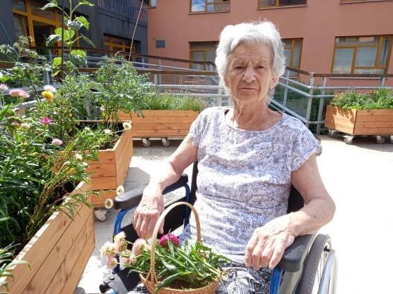 Slaměnky - Dům seniorů Františkov, Liberec, příspěvková organizace