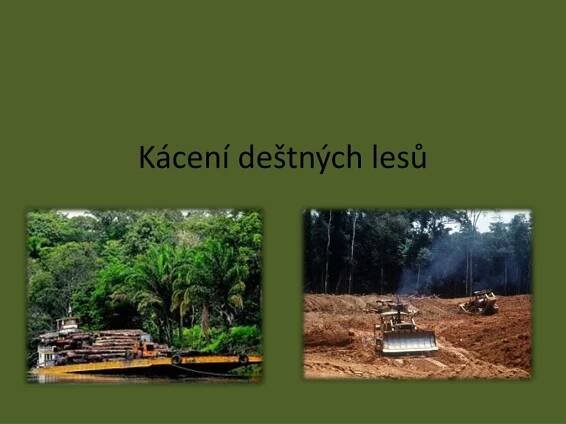 PPT - Kácení deštných lesů PowerPoint Presentation, free download - ID:6320827