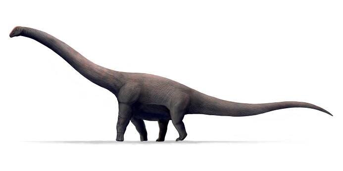 Bruhathkayosaurus matleyi
