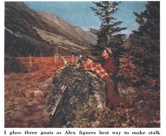 A color photo of Fred Bear glassing in Alaska