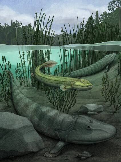 Scientific Illustration — ALEX BOERSMA 