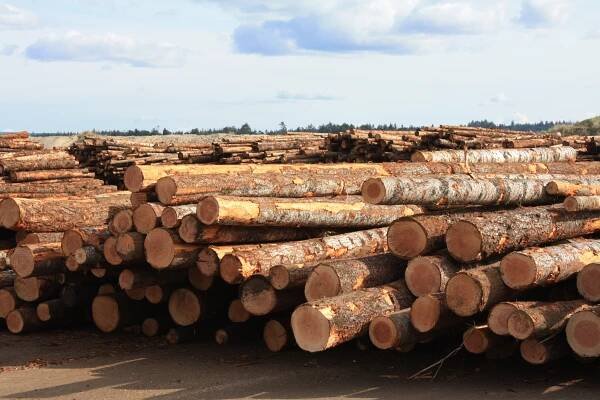 Timber logs adelaide
