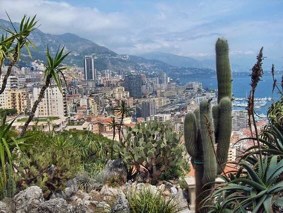 Jardin Exotique de Monaco