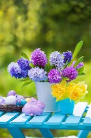 V květinářstvích jsou na jaře k sehnání i hyacinty řezané, počítejte ale s tím, že ve váze dlouho nevydrží. iStock