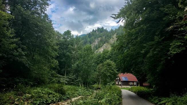 Slovensko, prodloužený víkend – díl třetí, Gaderská dolina, odpočinkový výlet – Hyena skvrnitá