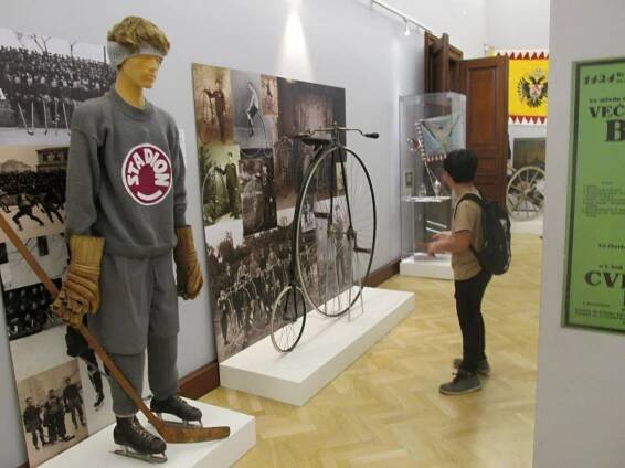 Jihočeské muzeum - Oficiální stránky Základní škola Benešov nad Černou