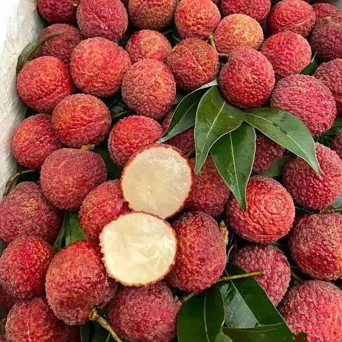 Seedless Iychee Seeds