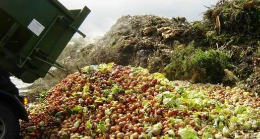Andrea Cerqueirová: Zachraňování jídla pokračuje