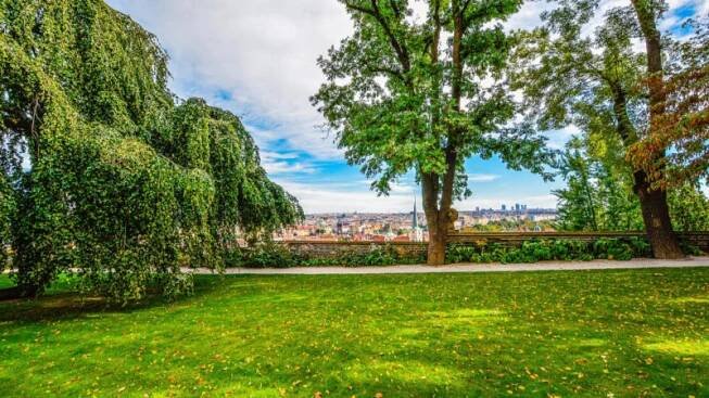 Praha patří mezi města s největším podílem zeleně na světě