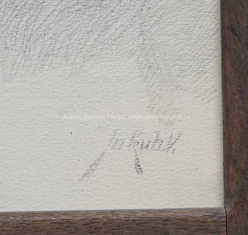František Jakub / Secesní portrét - detail aukce « Aukce « Aukční Galerie Platýz