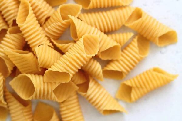 Homemade Garganelli Pasta