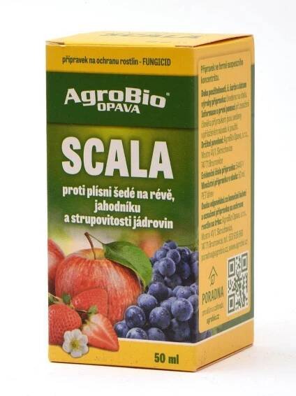 Scala 50ml