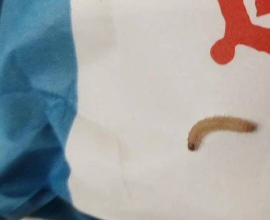 Kaufland nabízel mouku prolezlou škůdci. Možná ji máte doma i vy