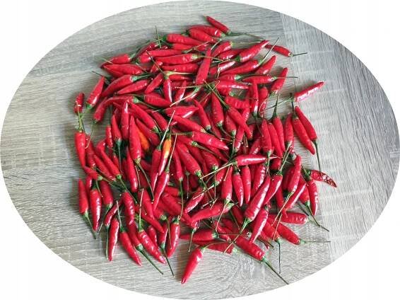 Chilli - Dům a zahrada - Allegro