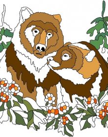 Omalovánka Pár hnědých medvědů - omalovánky pro dospělé