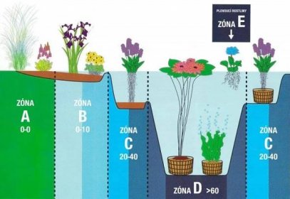 Umíte vybrat rostliny pro zahradní jezírko? | Všechny články