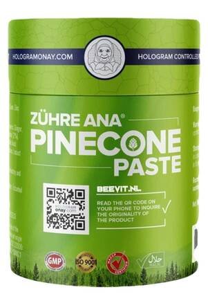 Pasta z borové šišky