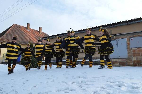 Masopust Stádlec