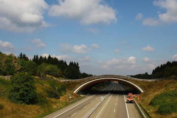 Gruenbruecke ueber Autobahn fuer Wildtiere