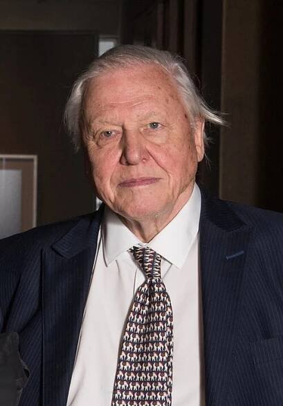 David Attenborough – Wikipedia