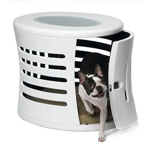 Must-Have Pet Products for Apartments - The Collective