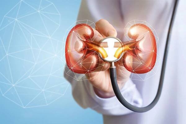 V porovnání s dialýzou transplantace ledviny prodlužuje a zkvalitňuje život