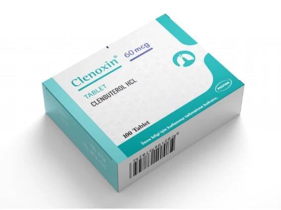 Clenoxin 60mcg - Clenbuterol for Medical Use in Respiratory and Bronchodilator Therapy