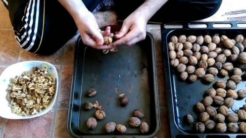 Jak rozlousknout vlašské ořechy doma bez poškození jader