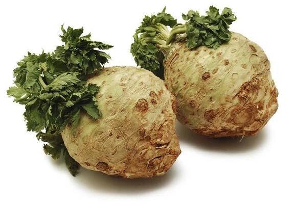 Recept: Celer s gorgonzolou