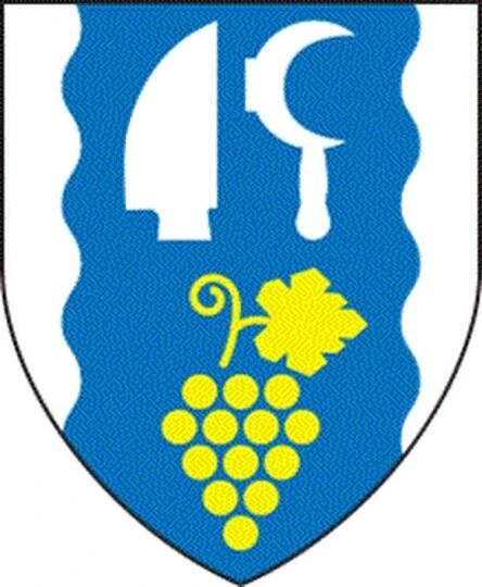 13. zasedání Zastupitelstva MČ Brno - Medlánky, konané 11. 9. 2024
