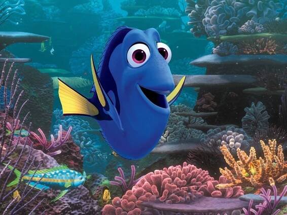 VIDEO: Film Hledá se Nemo odhalil pokračování Hledá se Dory