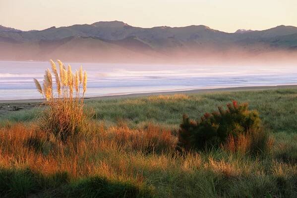 Gisborne Wine Region | New Zealand | Villa Maria Wines