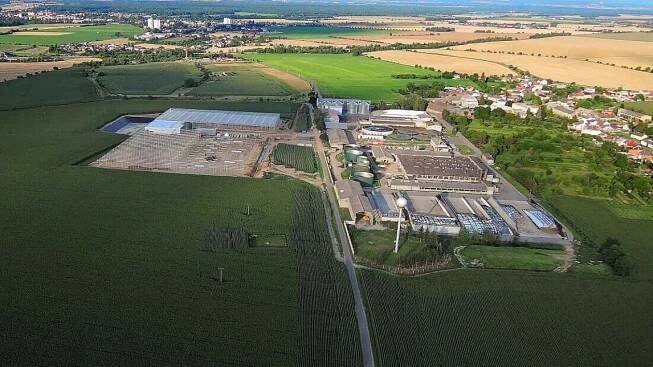Cherry rajčata z Hané porážejí cizinu, zájem je obrovský