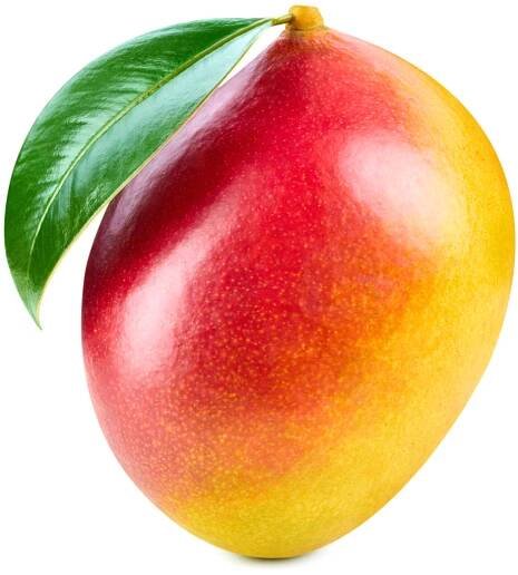 Mango v akci levně | Kupi.cz