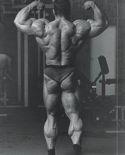 dorian yates back workout