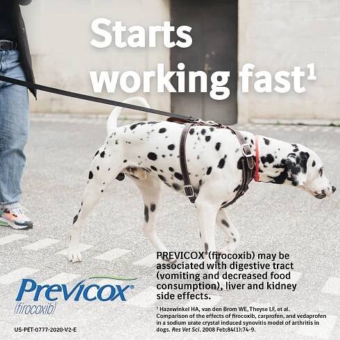 Show full view: Previcox (Firocoxib) Chewable Tablets for Dogs, 15 tablets, 227-mg slide 6 of 11