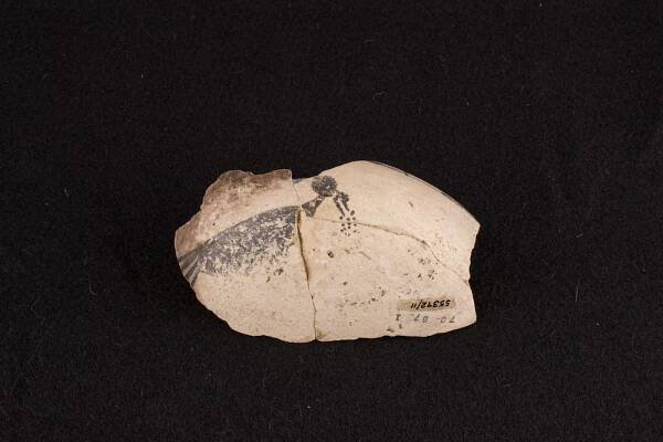 A faint black painting of a turkey is shown on a fragment of a white ceramic bowl against a black background.