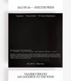 Say Goodbye To The Wind | Valerio Tricoli | Shelter Press