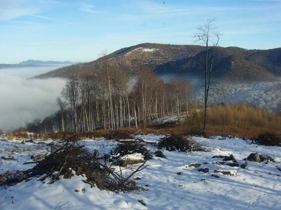 Rokoš - Vrchol