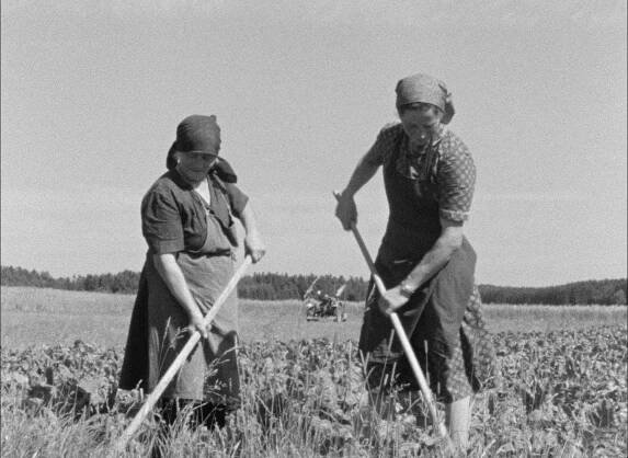 Die Filme von Peter und Zsóka Nestler – Jugend ohne Film