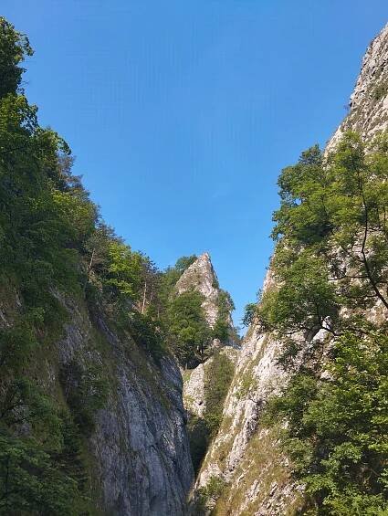 Novinky | Základná škola s materskou školou, Lysá pod Makytou č.44, 020 54 Lysá pod Makytou