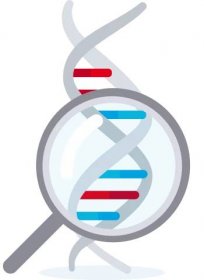 Graphic of DNA and a magnifying glass