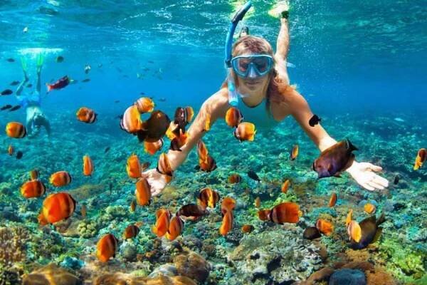 Snorkeling Trip - Giftun Islands